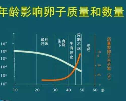 国内最好供卵中心医院排名,泰国试管婴儿：卵泡情况对*率产*极大影响